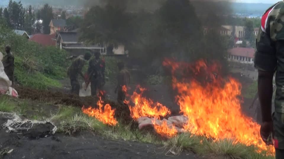 Goma : Incinération d&rsquo;un lot important du chanvre d&rsquo;une valeur de 120 000 $