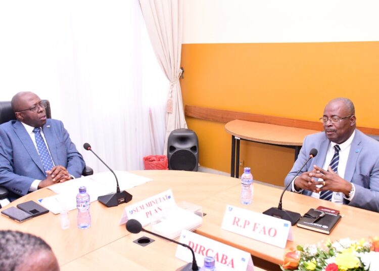 Ministère du Plan : La FAO disposée à accompagner le PDL des 145 territoires