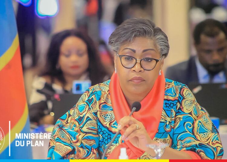Ministère du Plan : Judith Tuluka demande à tous les partenaires techniques et financiers de soutenir le PRONAREC 2
