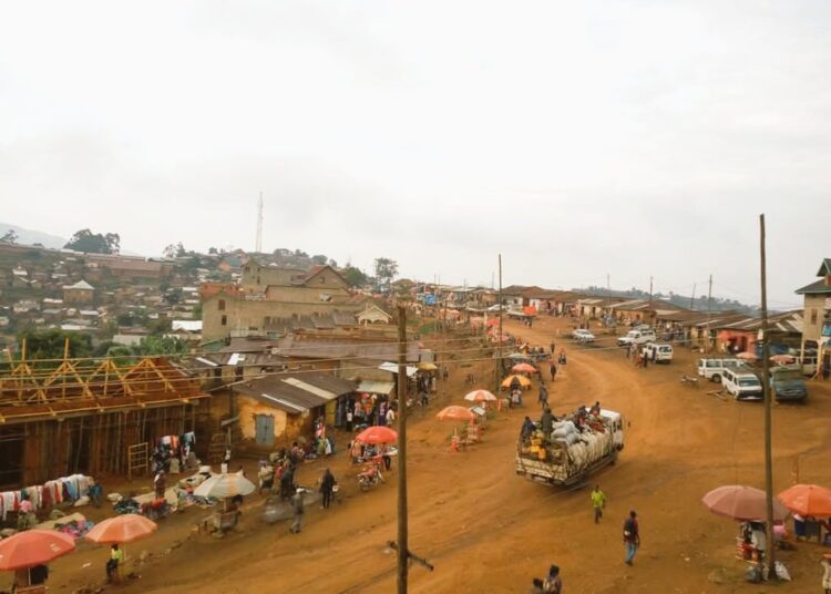 Lubero : les FARDC déjouent une attaque du M23 à Mambasa