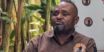 Environnement : À cause de la guerre, une famille congolaise des gorilles s&rsquo;est réfugiée au Rwanda