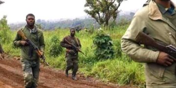 Sud-Kivu : les Wazalendo ouvrent plusieurs fronts contre les M23 et gagnent du terrain