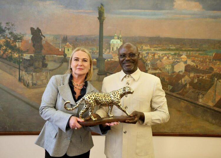 La RDC sollicite un appui tchèque pour moderniser ses forces armées