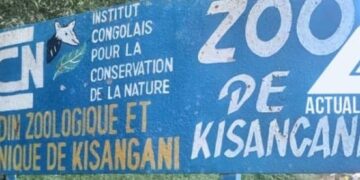 L&rsquo;avenir en suspens du zoo de Kisangani : l&rsquo;opacité financière menace un projet de réhabilitation vital