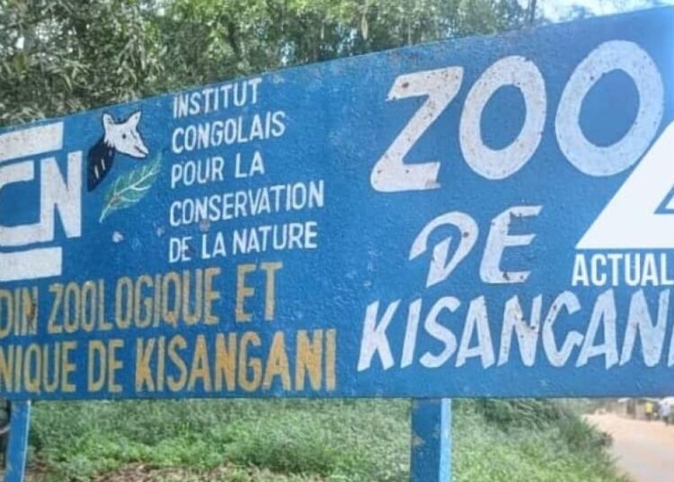 L&rsquo;avenir en suspens du zoo de Kisangani : l&rsquo;opacité financière menace un projet de réhabilitation vital